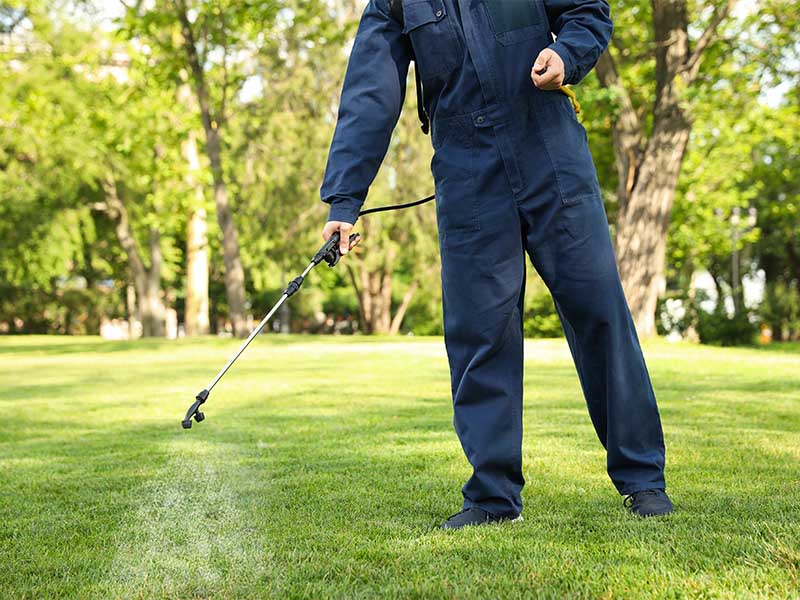 Construction de piscines lagon Albi